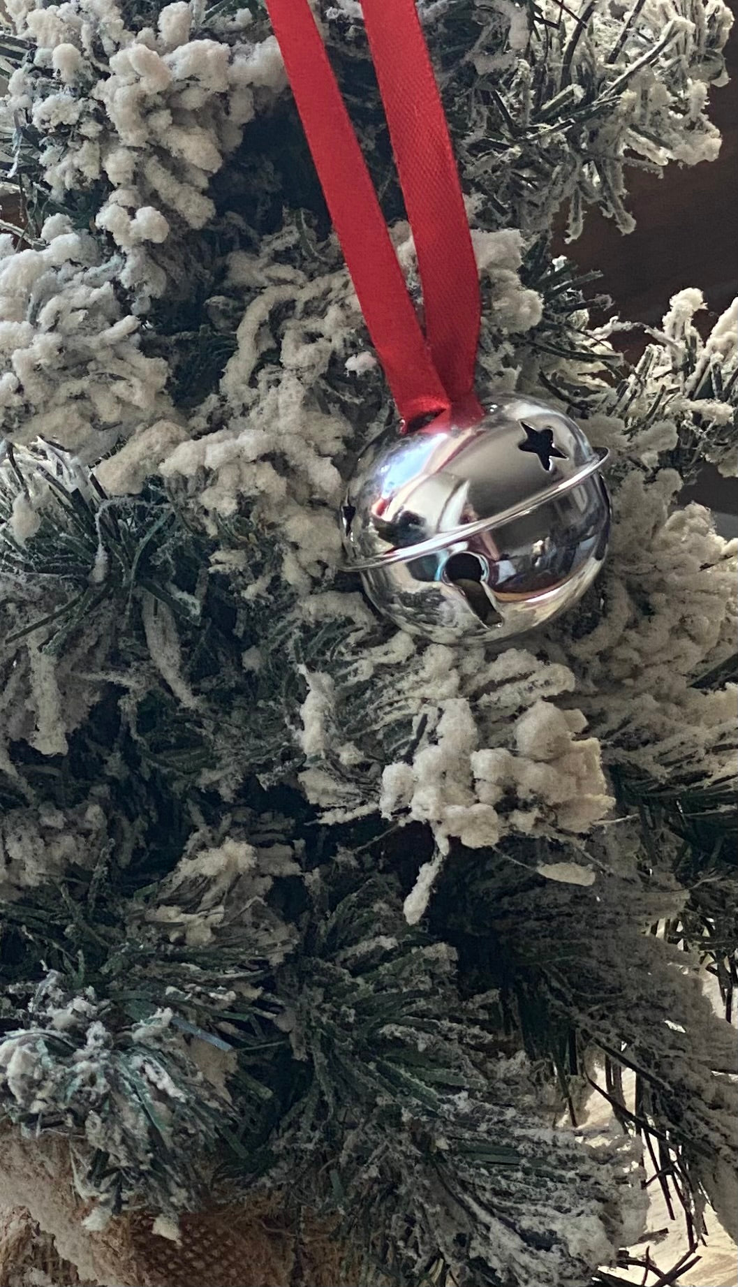 Silver bell ornament on a red string hanging on a snow-covered tree branch.