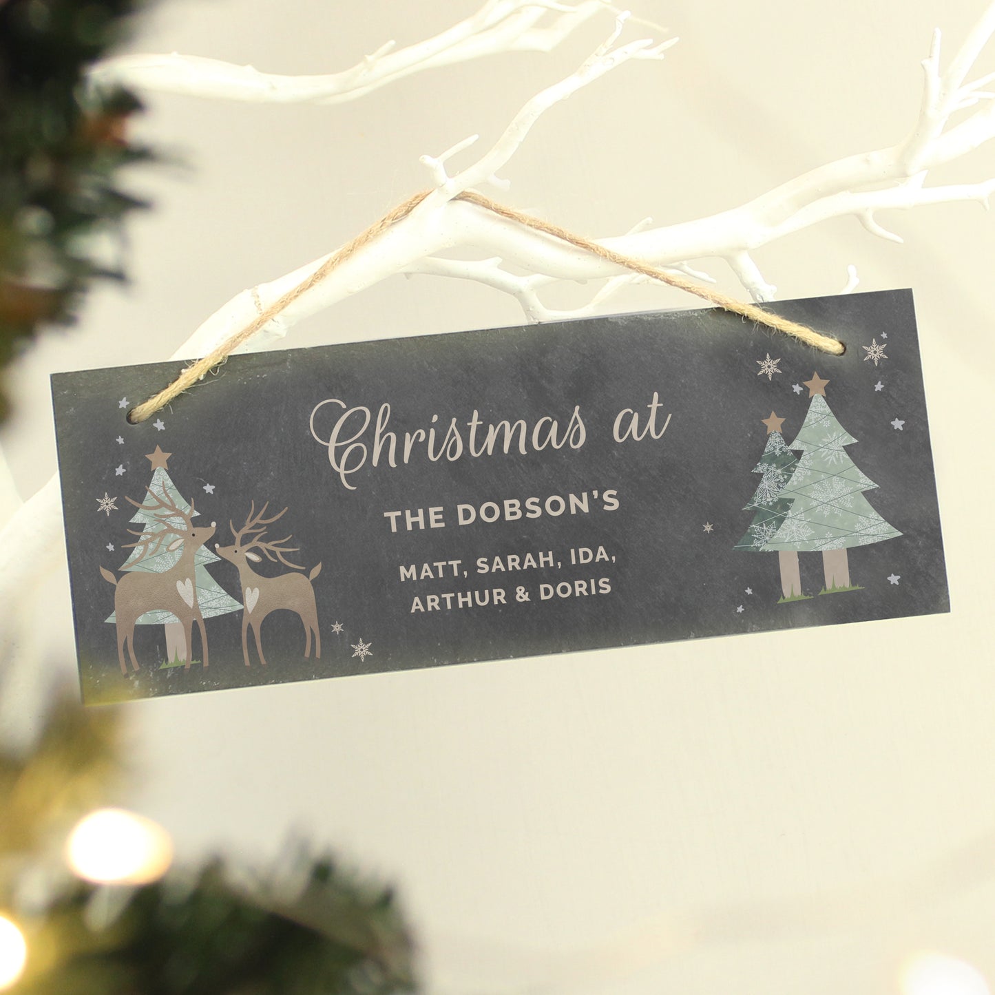 Decorative sign with Christmas design and family names hanging on a branch.