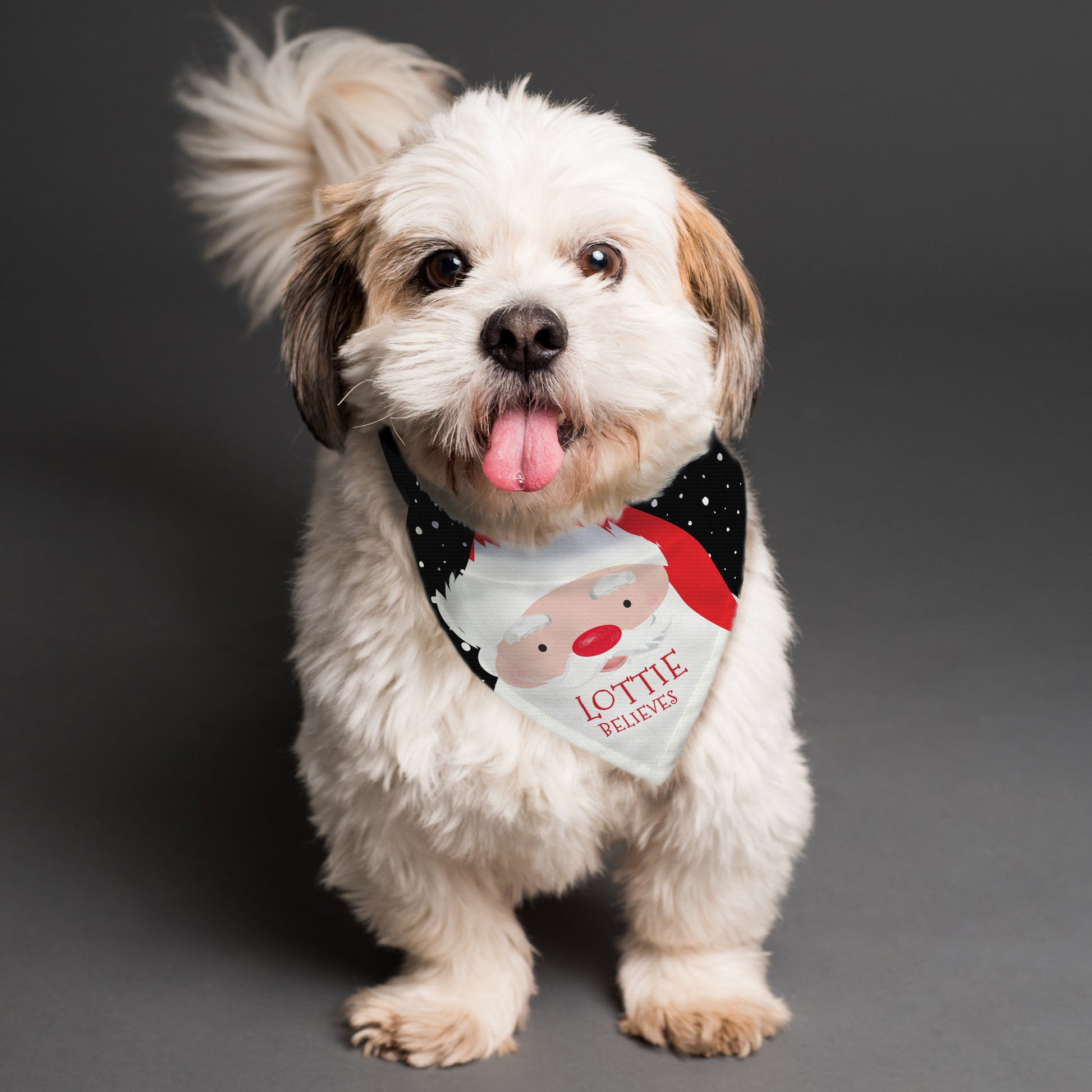 Small white dog with a Personalised Santa-themed bandana on a dark background