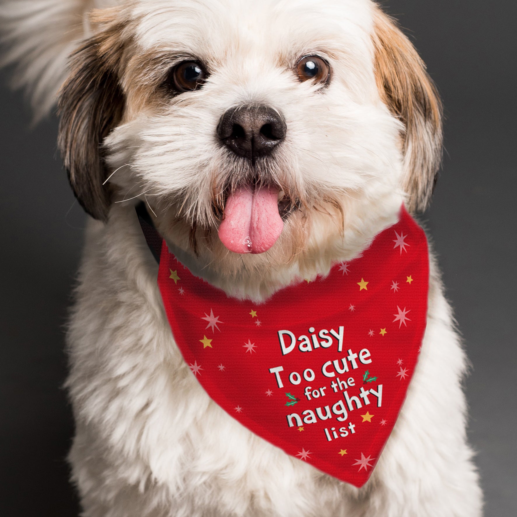 Dog wearing a red bandana with text on a dark background