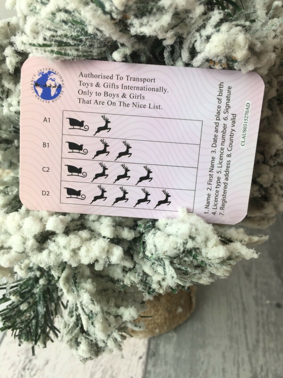 Back of the Santa Claus Licence