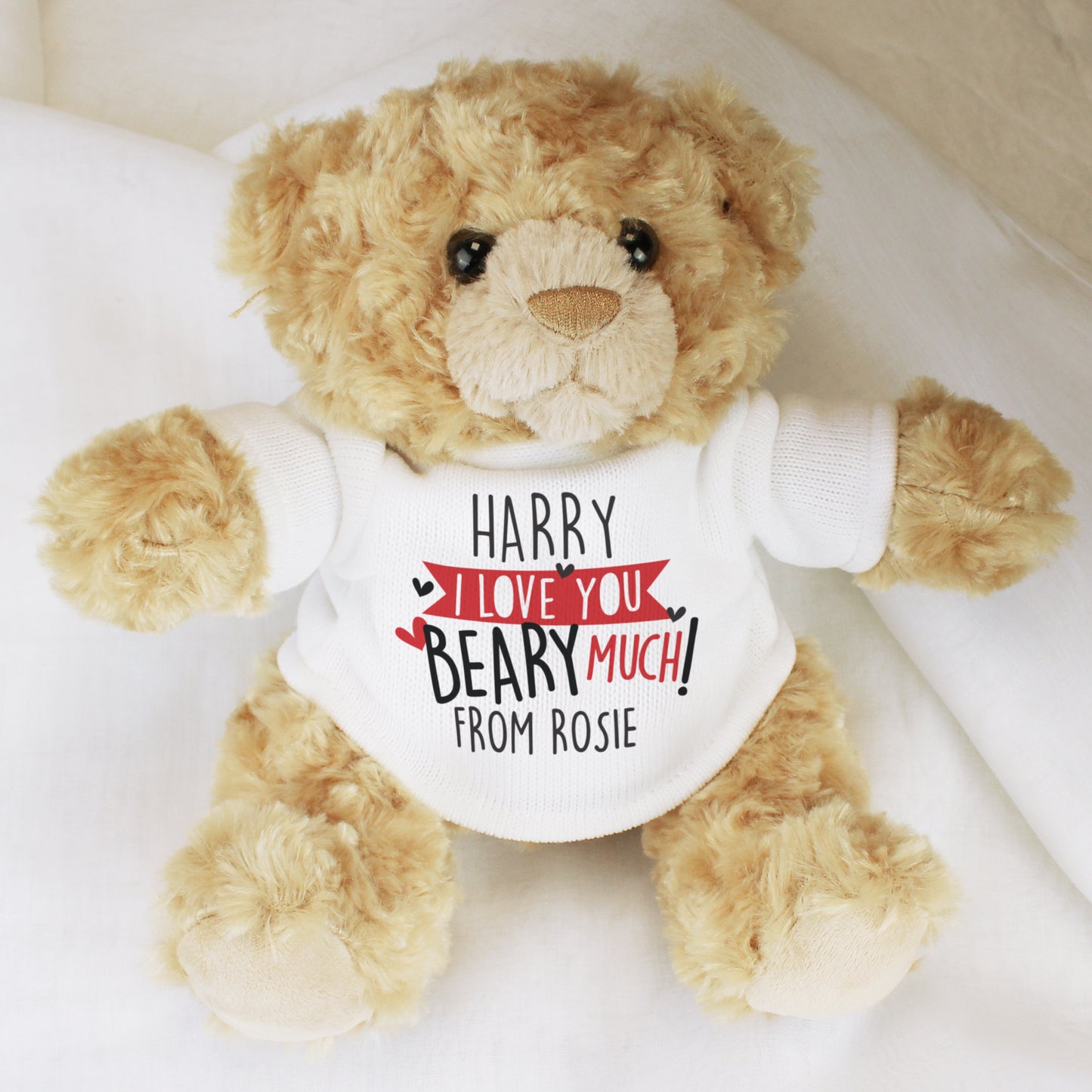 Teddy bear wearing a shirt with personalised text on a white background