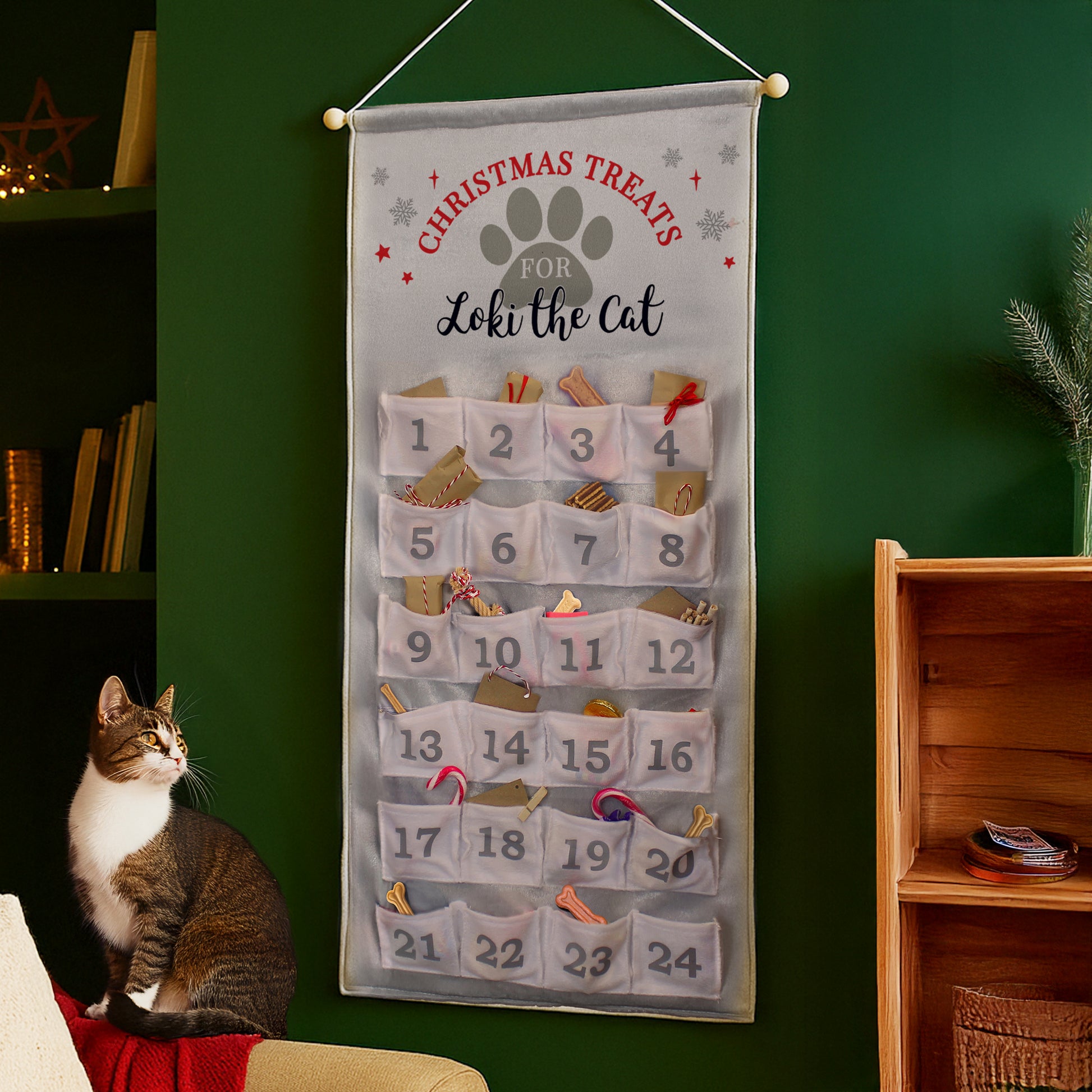 Personalised Cat-themed advent calendar for Loki the cat on a green wall with a cat sitting below.