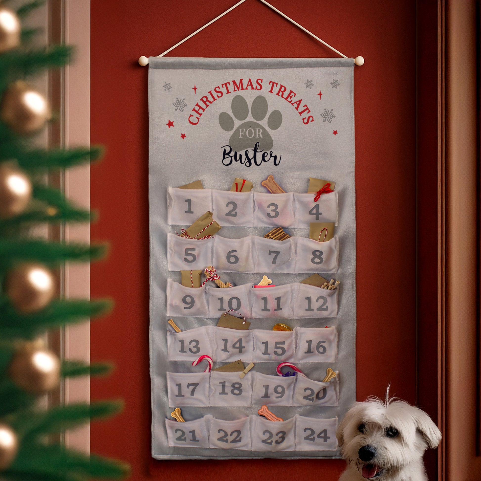 Personalised Dog treat advent calendar hanging on a red wall with a dog in front