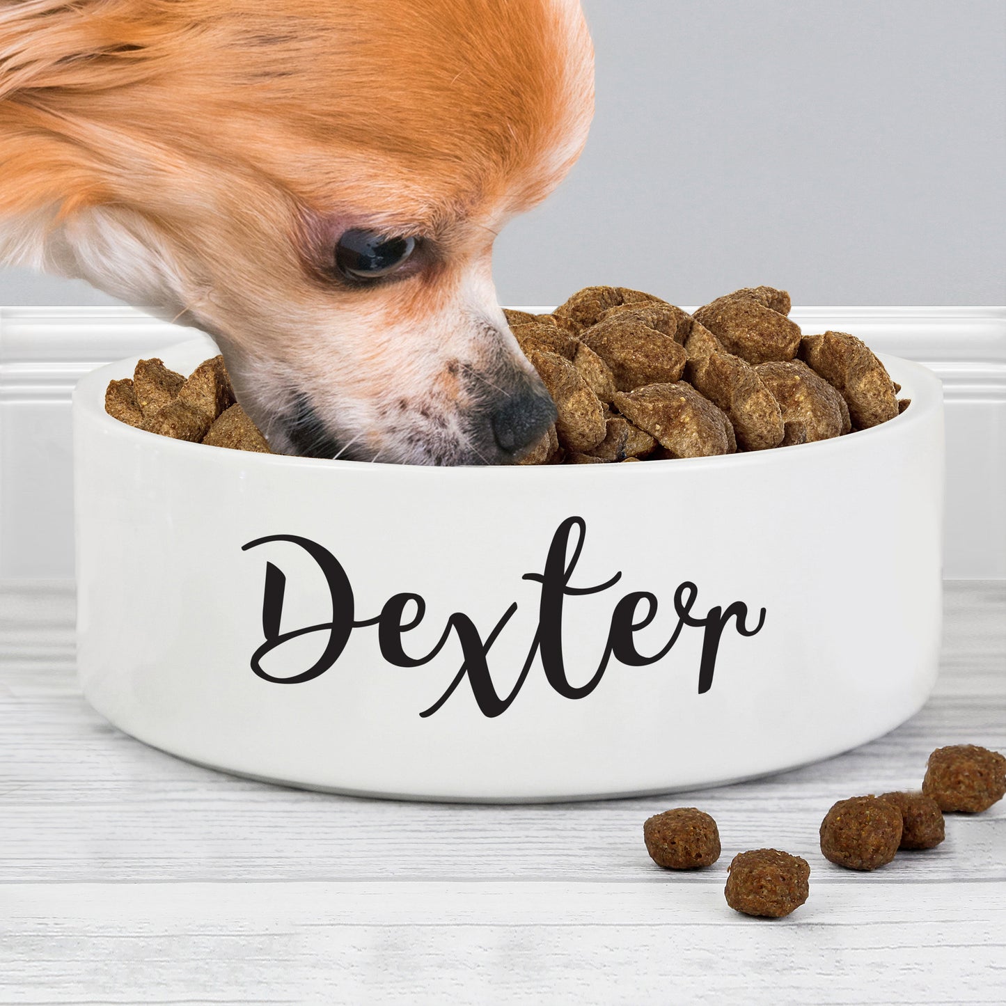 Dog eating from a white bowl labeled 'Dexter' filled with kibble on a light wooden surface.
