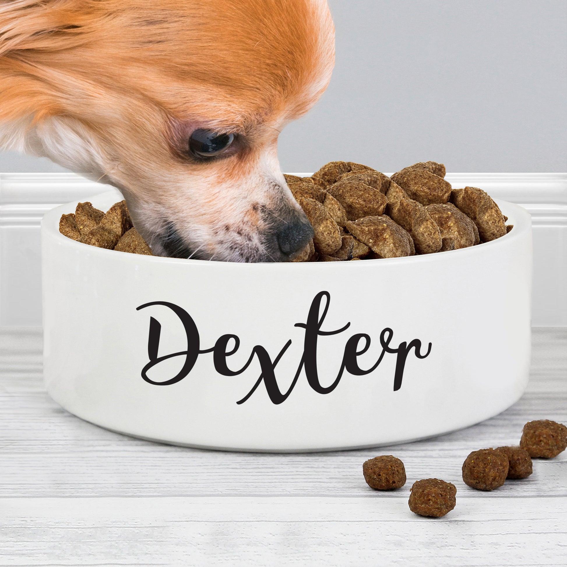 Dog eating from a white bowl labeled 'Dexter' filled with kibble on a light wooden surface.