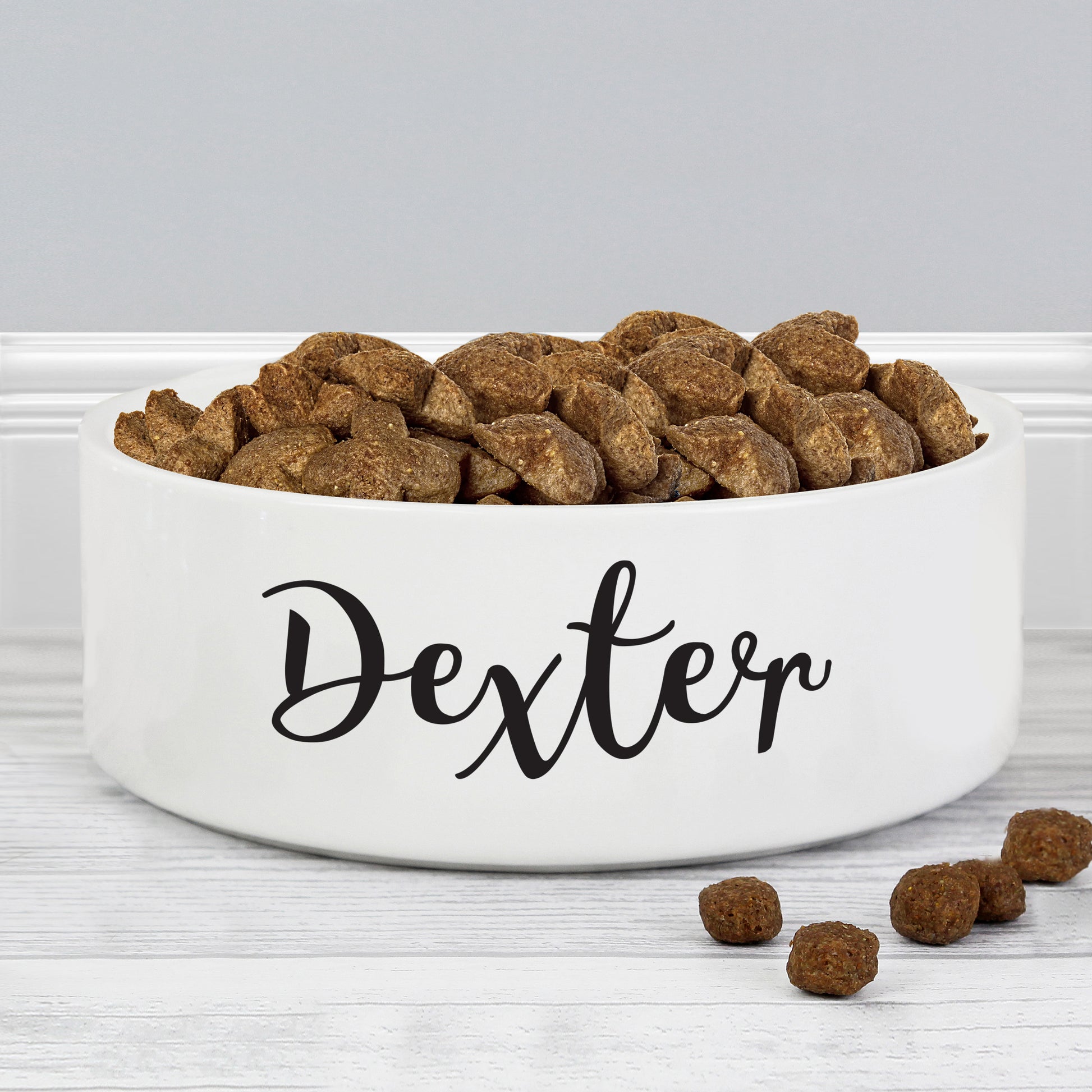 White pet bowl labeled 'Dexter' with dog food on a gray background